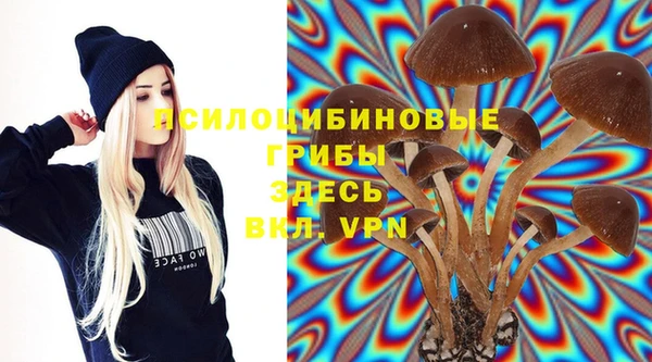 бошки Баксан