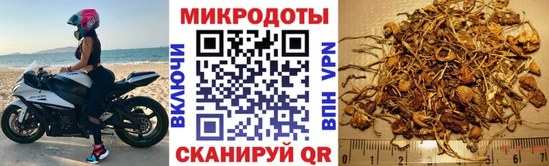 даркнет сайт omg ONION Псилоцибиновые грибы Psilocybe Салаир